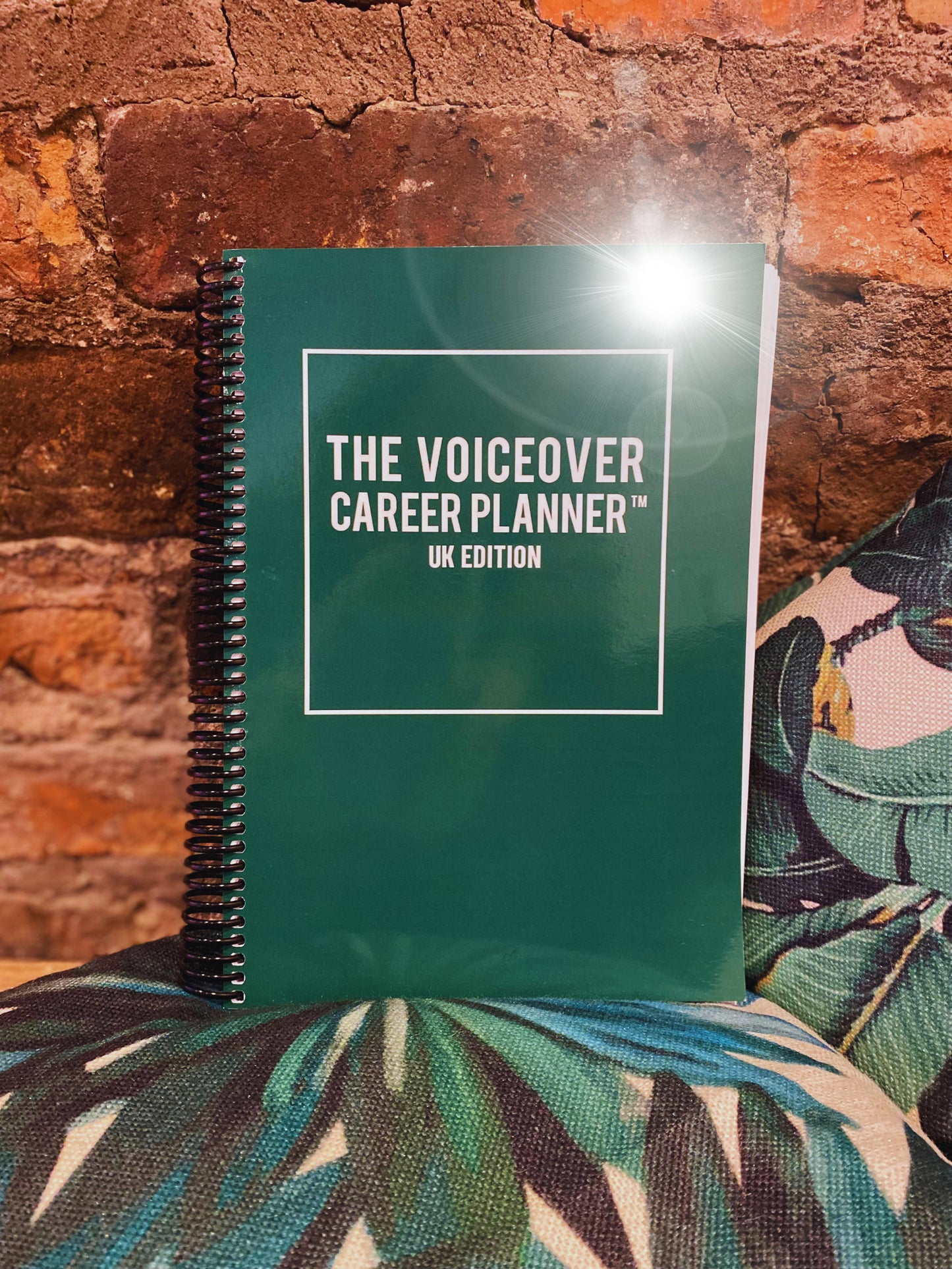 The Voiceover Career Planner - UK Edition